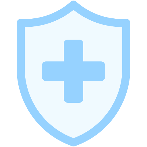 Protection Shield Icon